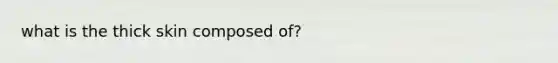 what is the thick skin composed of?