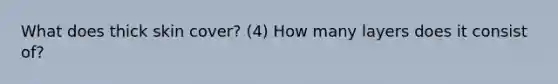 What does thick skin cover? (4) How many layers does it consist of?