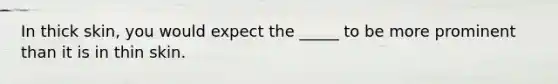 In thick skin, you would expect the _____ to be more prominent than it is in thin skin.