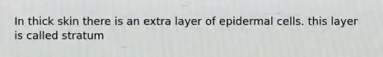 In thick skin there is an extra layer of epidermal cells. this layer is called stratum