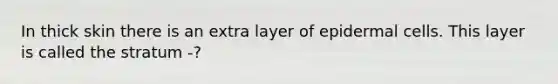 In thick skin there is an extra layer of epidermal cells. This layer is called the stratum -?