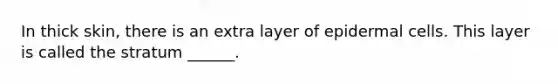 In thick skin, there is an extra layer of epidermal cells. This layer is called the stratum ______.