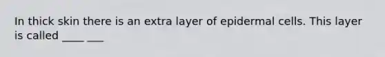 In thick skin there is an extra layer of epidermal cells. This layer is called ____ ___