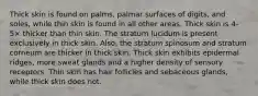 Thick skin is found on palms, palmar surfaces of digits, and soles, while thin skin is found in all other areas. Thick skin is 4-5× thicker than thin skin. The stratum lucidum is present exclusively in thick skin. Also, the stratum spinosum and stratum corneum are thicker in thick skin. Thick skin exhibits epidermal ridges, more sweat glands and a higher density of sensory receptors. Thin skin has hair follicles and sebaceous glands, while thick skin does not.