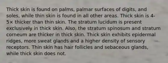 Thick skin is found on palms, palmar surfaces of digits, and soles, while thin skin is found in all other areas. Thick skin is 4-5× thicker than thin skin. The stratum lucidum is present exclusively in thick skin. Also, the stratum spinosum and stratum corneum are thicker in thick skin. Thick skin exhibits epidermal ridges, more sweat glands and a higher density of <a href='https://www.questionai.com/knowledge/kZxhe8RZQ3-sensory-receptors' class='anchor-knowledge'>sensory receptors</a>. Thin skin has hair follicles and sebaceous glands, while thick skin does not.