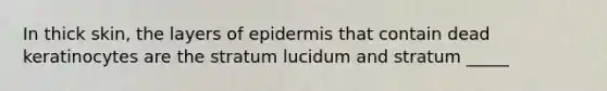 In thick skin, the layers of epidermis that contain dead keratinocytes are the stratum lucidum and stratum _____