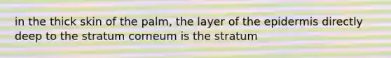 in the thick skin of the palm, the layer of the epidermis directly deep to the stratum corneum is the stratum