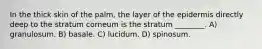 In the thick skin of the palm, the layer of the epidermis directly deep to the stratum corneum is the stratum ________. A) granulosum. B) basale. C) lucidum. D) spinosum.