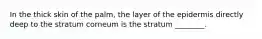 In the thick skin of the palm, the layer of the epidermis directly deep to the stratum corneum is the stratum ________.