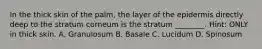 In the thick skin of the palm, the layer of the epidermis directly deep to the stratum corneum is the stratum ________. Hint: ONLY in thick skin. A. Granulosum B. Basale C. Lucidum D. Spinosum