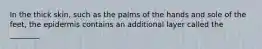 In the thick skin, such as the palms of the hands and sole of the feet, the epidermis contains an additional layer called the ________