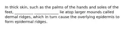 In thick skin, such as the palms of the hands and soles of the feet, __________ _____________ lie atop larger mounds called dermal ridges, which in turn cause the overlying epidermis to form epidermal ridges.