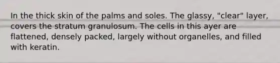 In the thick skin of the palms and soles. The glassy, "clear" layer, covers the stratum granulosum. The cells in this ayer are flattened, densely packed, largely without organelles, and filled with keratin.