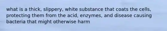 what is a thick, slippery, white substance that coats the cells, protecting them from the acid, enzymes, and disease causing bacteria that might otherwise harm