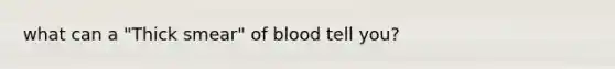 what can a "Thick smear" of blood tell you?