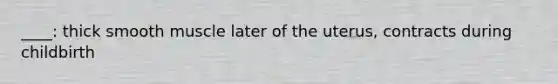 ____: thick smooth muscle later of the uterus, contracts during childbirth