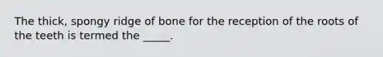 The thick, spongy ridge of bone for the reception of the roots of the teeth is termed the _____.