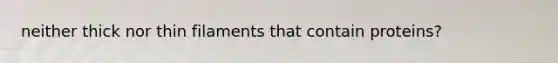 neither thick nor thin filaments that contain proteins?