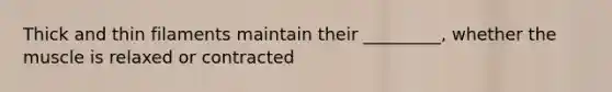 Thick and thin filaments maintain their _________, whether the muscle is relaxed or contracted