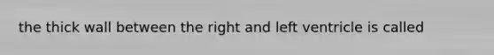 the thick wall between the right and left ventricle is called