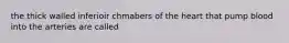 the thick walled inferioir chmabers of the heart that pump blood into the arteries are called