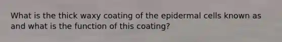 What is the thick waxy coating of the epidermal cells known as and what is the function of this coating?