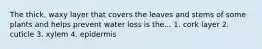 The thick, waxy layer that covers the leaves and stems of some plants and helps prevent water loss is the... 1. cork layer 2. cuticle 3. xylem 4. epidermis