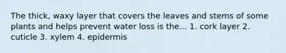 The thick, waxy layer that covers the leaves and stems of some plants and helps prevent water loss is the... 1. cork layer 2. cuticle 3. xylem 4. epidermis