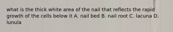 what is the thick white area of the nail that reflects the rapid growth of the cells below it A. nail bed B. nail root C. lacuna D. lunula