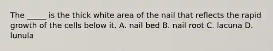 The _____ is the thick white area of the nail that reflects the rapid growth of the cells below it. A. nail bed B. nail root C. lacuna D. lunula