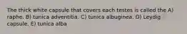 The thick white capsule that covers each testes is called the A) raphe. B) tunica adventitia. C) tunica albuginea. D) Leydig capsule. E) tunica alba