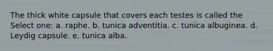 The thick white capsule that covers each testes is called the Select one: a. raphe. b. tunica adventitia. c. tunica albuginea. d. Leydig capsule. e. tunica alba.