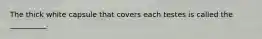 The thick white capsule that covers each testes is called the __________.