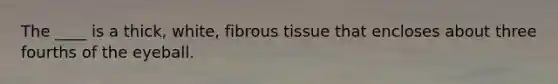 The ____ is a thick, white, fibrous tissue that encloses about three fourths of the eyeball.
