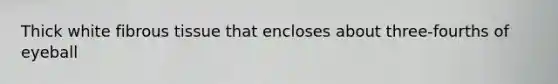 Thick white fibrous tissue that encloses about three-fourths of eyeball
