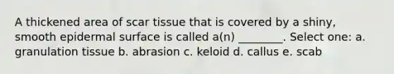 A thickened area of scar tissue that is covered by a shiny, smooth epidermal surface is called a(n) ________. Select one: a. granulation tissue b. abrasion c. keloid d. callus e. scab