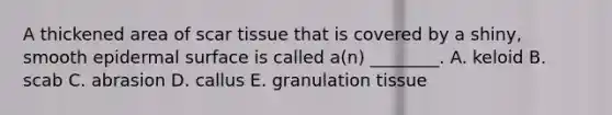 A thickened area of scar tissue that is covered by a shiny, smooth epidermal surface is called a(n) ________. A. keloid B. scab C. abrasion D. callus E. granulation tissue