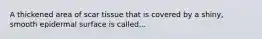 A thickened area of scar tissue that is covered by a shiny, smooth epidermal surface is called...