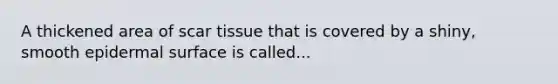 A thickened area of scar tissue that is covered by a shiny, smooth epidermal surface is called...