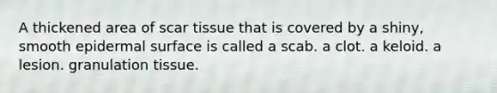 A thickened area of scar tissue that is covered by a shiny, smooth epidermal surface is called a scab. a clot. a keloid. a lesion. granulation tissue.