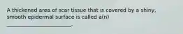 A thickened area of scar tissue that is covered by a shiny, smooth epidermal surface is called a(n) _________________________.