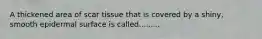 A thickened area of scar tissue that is covered by a shiny, smooth epidermal surface is called.........