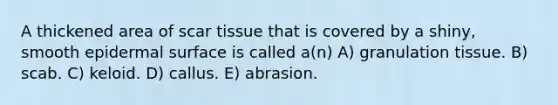 A thickened area of scar tissue that is covered by a shiny, smooth epidermal surface is called a(n) A) granulation tissue. B) scab. C) keloid. D) callus. E) abrasion.