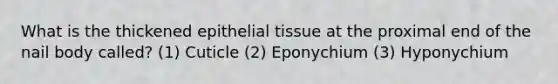 What is the thickened epithelial tissue at the proximal end of the nail body called? (1) Cuticle (2) Eponychium (3) Hyponychium