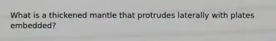 What is a thickened mantle that protrudes laterally with plates embedded?