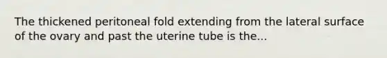 The thickened peritoneal fold extending from the lateral surface of the ovary and past the uterine tube is the...