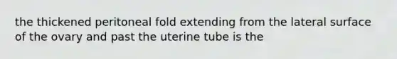 the thickened peritoneal fold extending from the lateral surface of the ovary and past the uterine tube is the