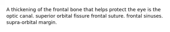 A thickening of the frontal bone that helps protect the eye is the optic canal. superior orbital fissure frontal suture. frontal sinuses. supra-orbital margin.