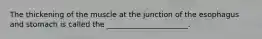 The thickening of the muscle at the junction of the esophagus and stomach is called the ______________________.