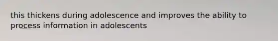 this thickens during adolescence and improves the ability to process information in adolescents